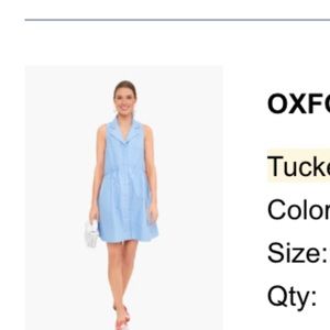 NWT Tuckernuck Sleeveless Royal Shirt Dress